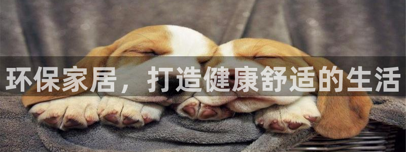 杏耀平台网站是什么