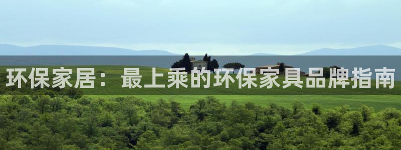 杏耀平台网站是什么