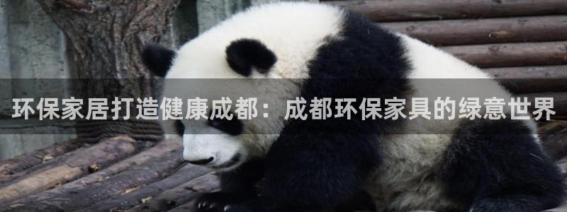 杏耀平台还在吗