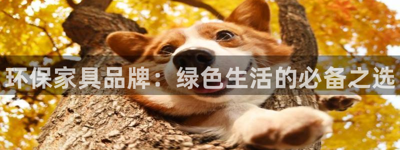 杏耀平台官网网址