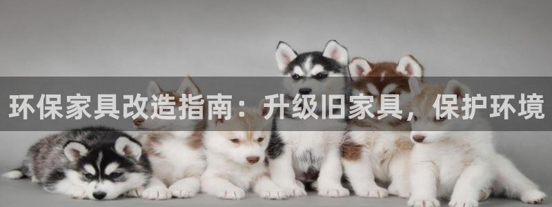 杏耀官方娱乐