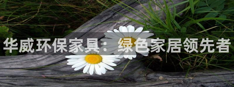 杏耀软件
