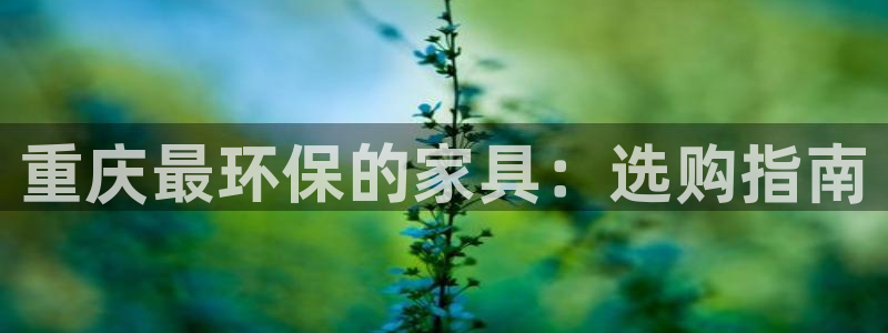 杏耀app怎样申请退款