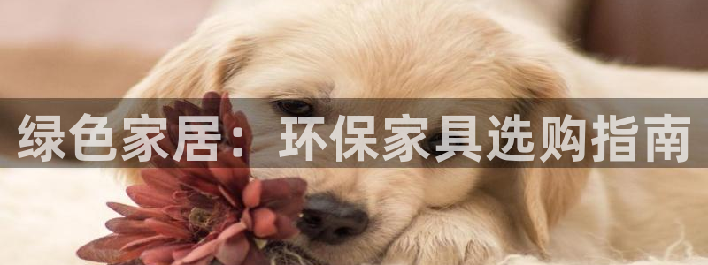 杏耀平台没有了