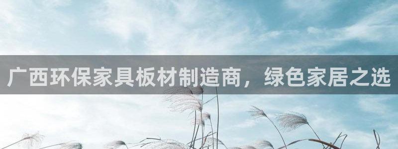 杏耀平台的专用通道