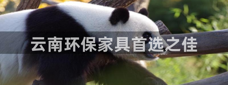 杏耀平台已7O777
