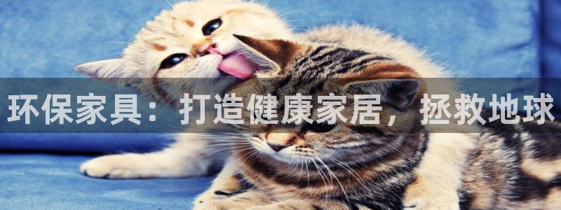 杏耀平台可以提款吗