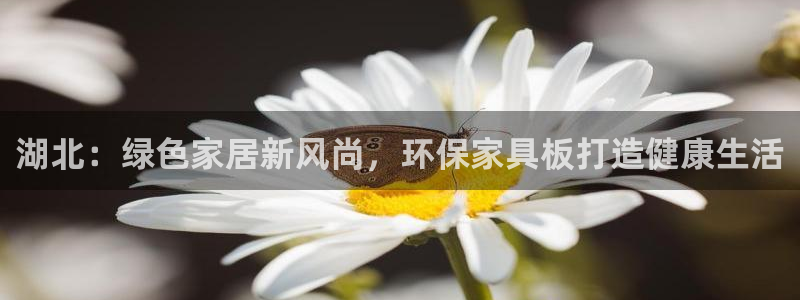 杏耀代理1980
