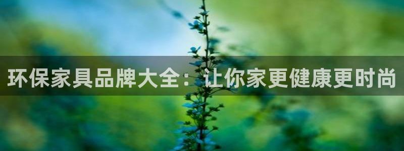 杏耀平台代理