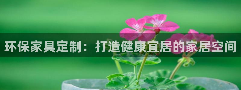 杏耀平台招商的流程