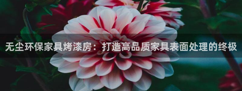 杏耀登陆网站：无尘环保家具烤漆房：打造高品质家具表面处理的终