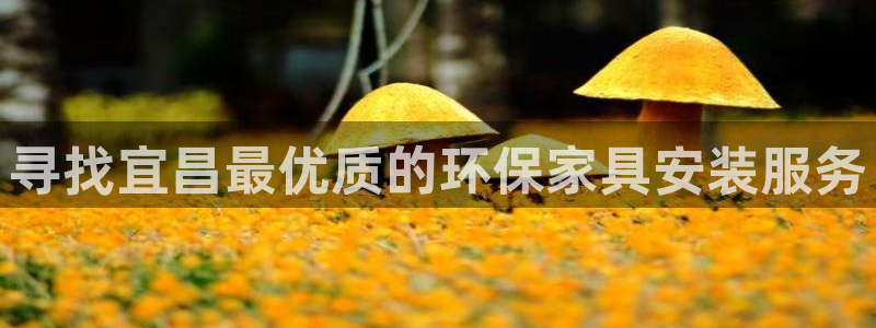 杏耀平台登录：寻找宜昌最优质的环保家具安装服务