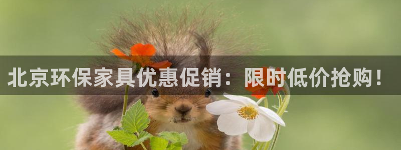 杏耀3代理