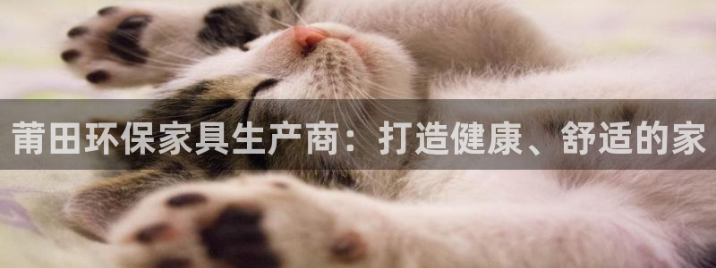 杏耀代理主管qq
