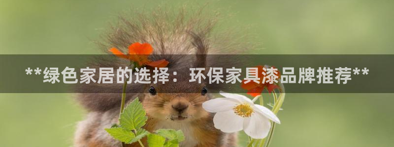 杏耀官网娱乐：**绿色家居的选择：环保家具漆品牌推荐**