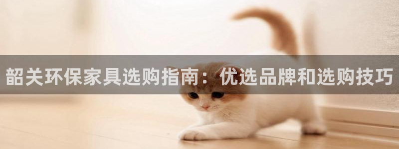杏耀软件