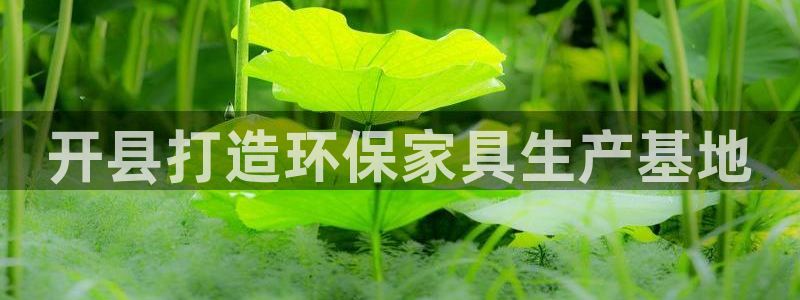 杏耀平台代理怎么赚钱的