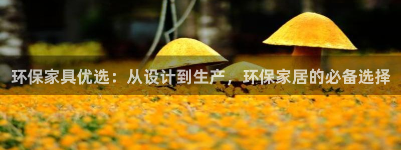 杏耀代理日工资多少