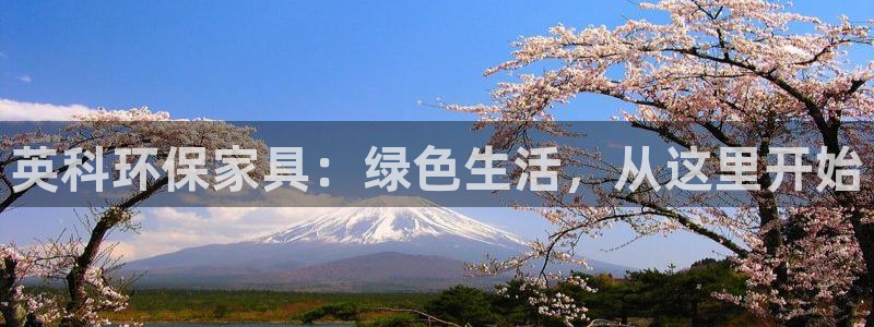 杏耀官网app：英科环保家具：绿色生活，从这里开始