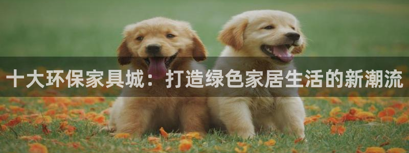 杏耀注册登录中心：十大环保家具城：打造绿色家居生活的新潮流