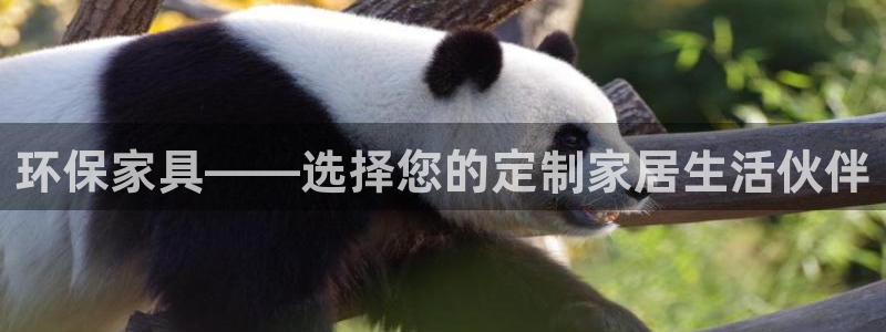 杏耀注册开户：环保家具——选择您的定制家居生活伙伴