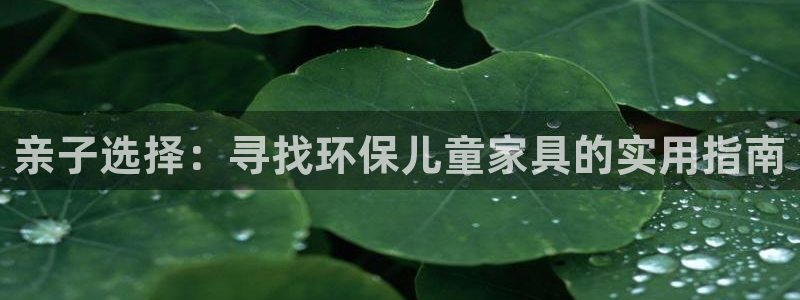 杏耀网址官网：亲子选择：寻找环保儿童家具的实用指南