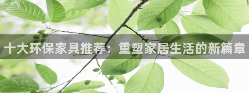 杏耀官方注册中心：十大环保家具推荐：重塑家居生活的新篇章