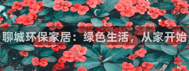 杏耀平台几年了：聊城环保家居：绿色生活，从家开始