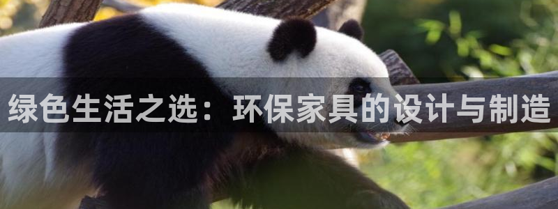 杏耀平台登录