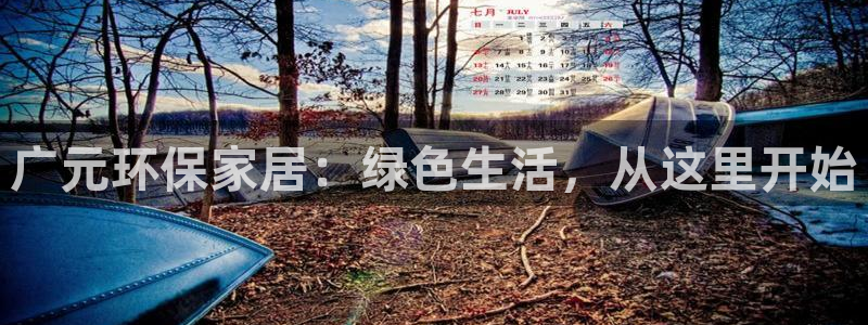 杏耀是什么平台：广元环保家居：绿色生活，从这里开始