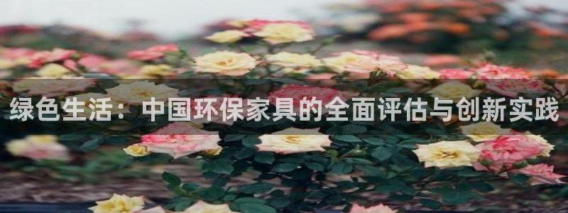 杏耀平台注册代理：绿色生活：中国环保家具的全面评估与创新实践