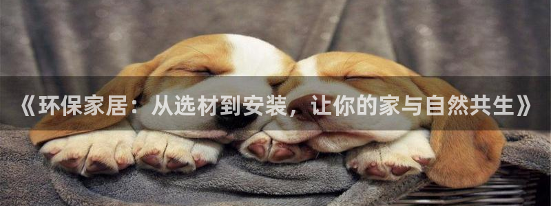 杏耀平台代理注册