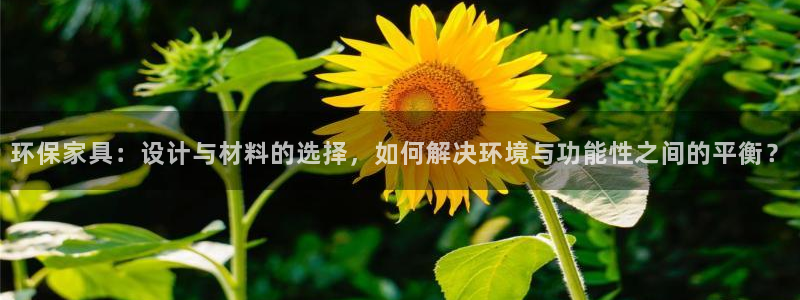 杏耀平台在线注册