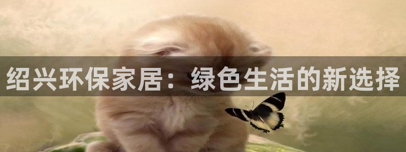 杏耀登陆测速：绍兴环保家居：绿色生活的新选择
