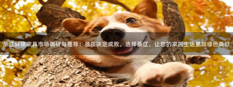 杏耀平台注册地址：綦江环保家具市场调研与推荐：品质决定成败，