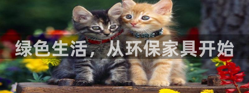 杏耀平台怎么注册：绿色生活，从环保家具开始
