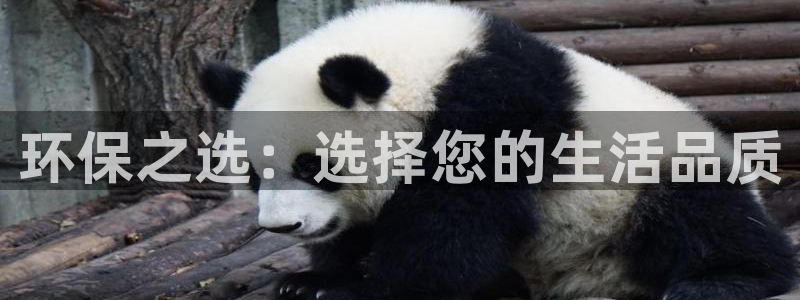 杏耀官网主管