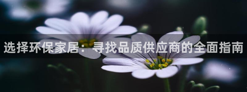 杏耀app怎样申请：选择环保家居：寻找品质供应商的全面指南