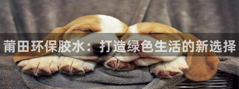 杏耀平台没有了：莆田环保胶水：打造绿色生活的新选择