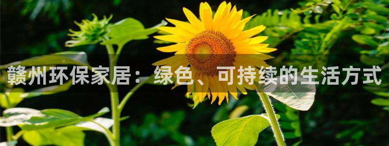 杏耀平台待遇