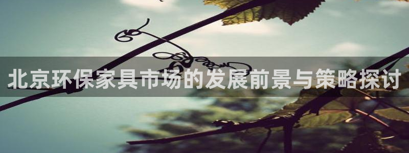 杏耀测速娱乐：北京环保家具市场的发展前景与策略探讨
