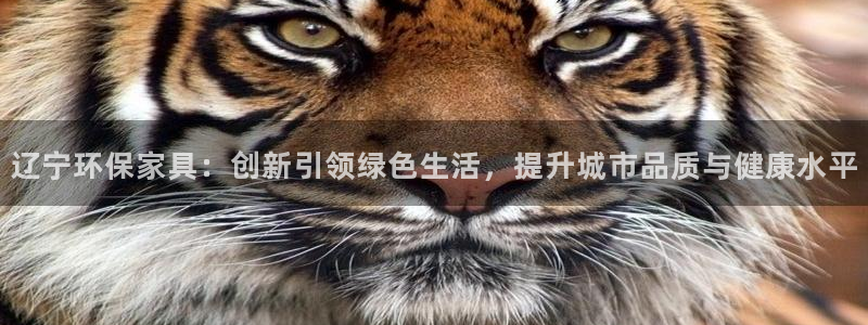 杏耀平台服务中心怎么样：辽宁环保家具：创新引领绿色生活，提升