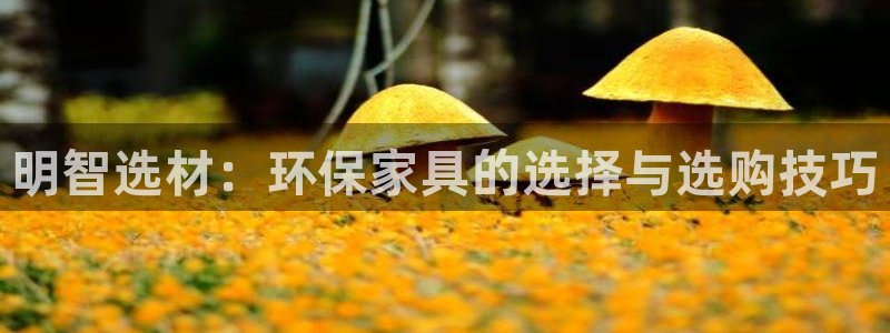 杏耀官方：明智选材：环保家具的选择与选购技巧