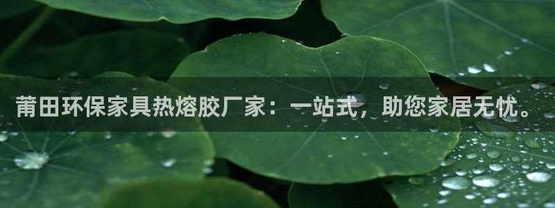 杏耀网址官网：莆田环保家具热熔胶厂家：一站式，助您家居无忧。