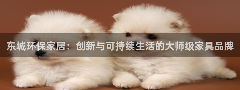 杏耀平台娱乐登陆：东城环保家居：创新与可持续生活的大师级家具