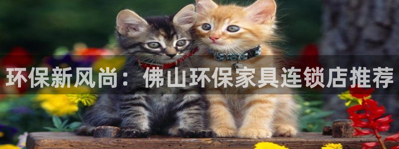 杏耀代理注册开户：环保新风尚：佛山环保家具连锁店推荐