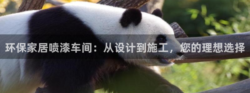 杏耀平台代理怎么赚钱：环保家居喷漆车间：从设计到施工，您的理