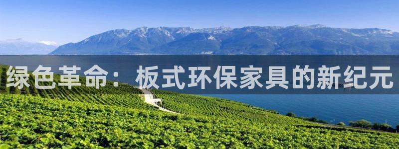 杏耀开户app下载：绿色革命：板式环保家具的新纪元