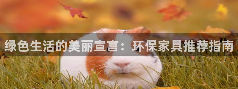 杏耀官网游戏：绿色生活的美丽宣言：环保家具推荐指南