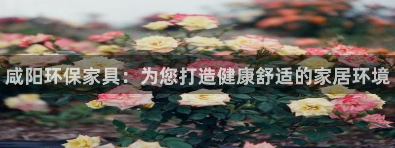 杏耀登录网页：咸阳环保家具：为您打造健康舒适的家居环境